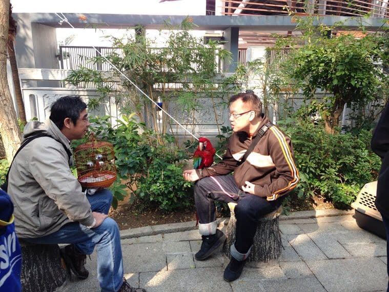 Cover Image for Hong Kong'da ilk gezintiler