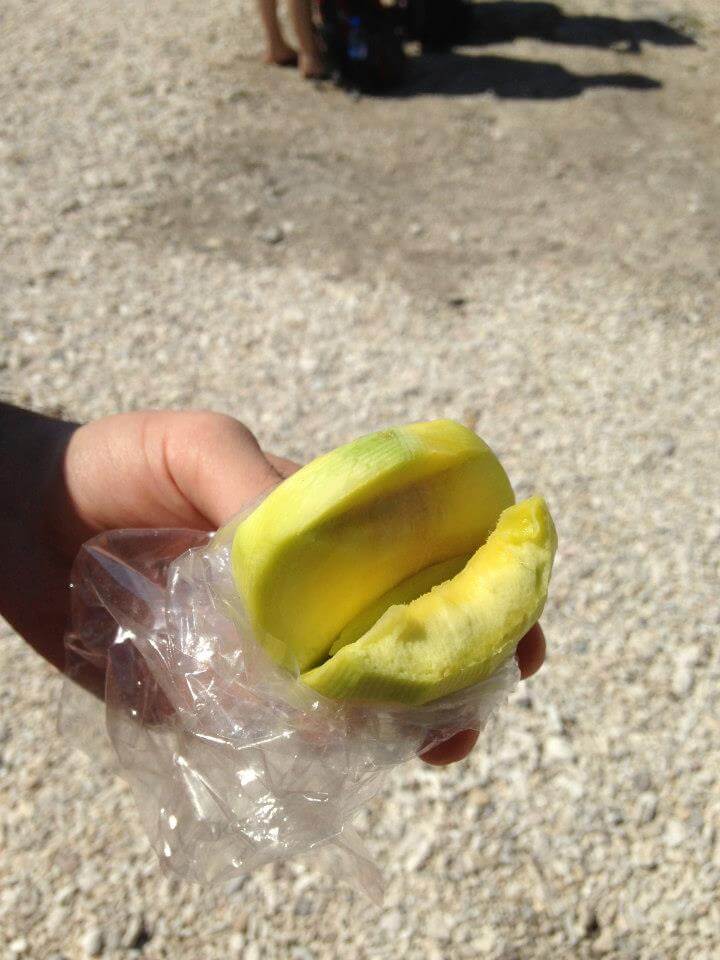 Yeşil mangolar çok lezzetliydi